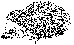 H�risson