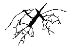 tricoter