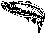 Truite