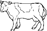 Vache 2