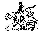 cavalier obstacle