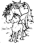 Cheval poulain