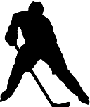 hockey roller3